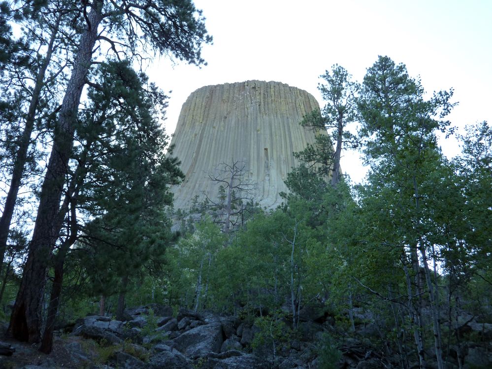 Devil tower (55).JPG